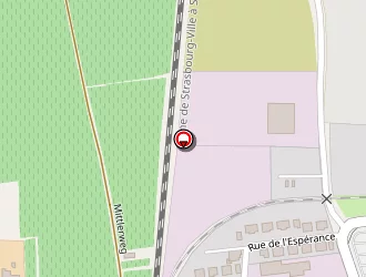 Carte de Adel Jean à Colmar