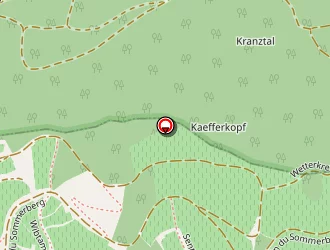 Carte de Bollinger David à Niedermorschwihr