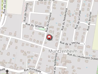 Carte de Baumann Eric à Muntzenheim