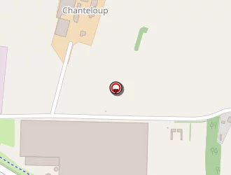 Carte de Déco Festive à Vitré