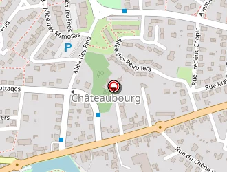 Carte de Herve Patrice à Châteaubourg