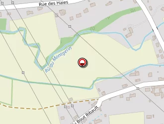 Carte de Taxi Louis à Marsangy