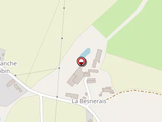 Carte de Moizan Pierre à Cintré