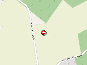 Carte de De Seixas Rita à Nargis