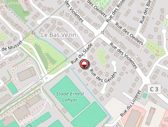 Carte de Georges à Vezin-le-coquet