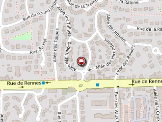 Carte de Dimmotec à Cesson-sévigné