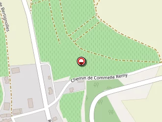 Carte de Mairie à Chacenay