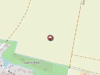 Carte de Krautlander (earl) à Artzenheim