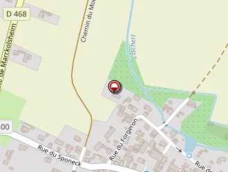 Carte de Fritsch Marcel à Artzenheim