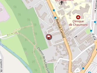 Carte de Laumont Patrick à Chaumont