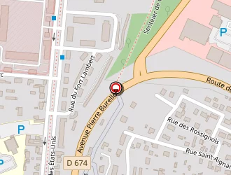 Carte de Ireps Champagne à Chaumont