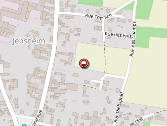 Carte de Oberlin Michel à Jebsheim