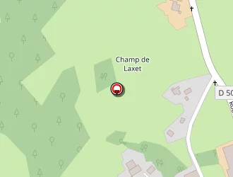 Carte de Branches Et Montagnes à Champdray