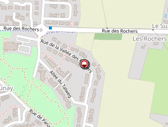 Carte de Sofie T'ness à Chapelle-thouarault (la)