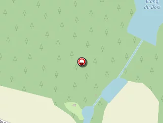 Carte de Coquelin à Olivet