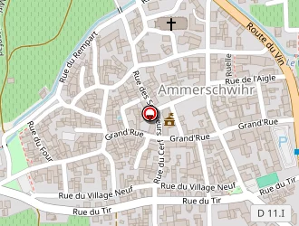 Carte de Heitzmann Léon (earl) à Ammerschwihr