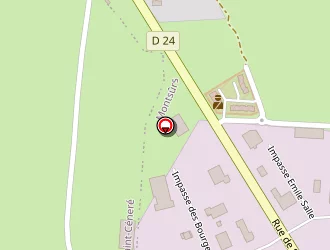 Carte de Emin Leydier-elytra à Montsûrs