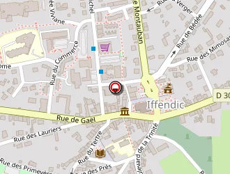 Carte de Boulay Soizic à Iffendic