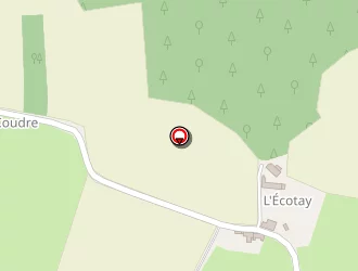 Carte de Pineau Jean Pierre à Conlie