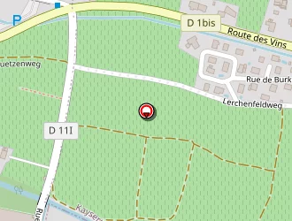 Carte de Schwartz Philippe (earl) à Kientzheim