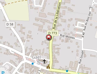 Carte de The Liberty à Gaël