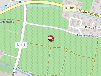 Carte de Akira à Kientzheim