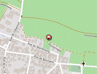 Carte de Valeurs Bois à Sigolsheim