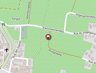 Carte de Brigade Verte à Sigolsheim