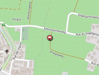 Carte de Schiffmann Léon à Kientzheim