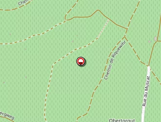 Carte de Petit Gourmand à Kientzheim