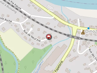 Carte de Association Des Paralysés De France (apf) à Dinozé