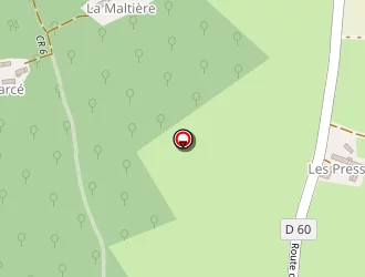 Carte de Laplace Georges à Saint-célerin