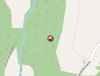 Carte de Rodet Pierre à Bransles