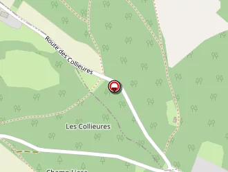 Carte de Lejal Claude à Corcieux