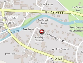 Carte de Vosges Berry à Granges-sur-vologne