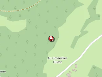 Carte de Demangeon Et Fils à Laveline-du-houx