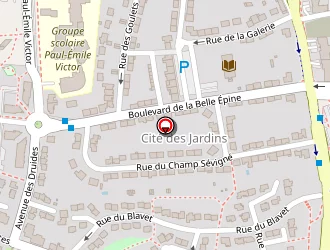 Carte de Ignis Sécurité à Saint-grégoire