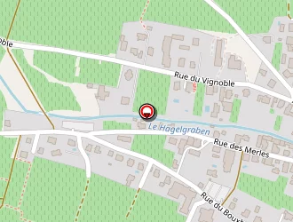 Carte de Ernst Stéphane à Mittelwihr