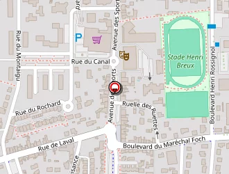 Carte de Geslin Peinture à Évron