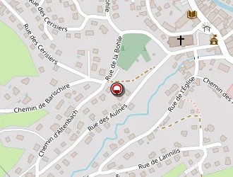 Carte de Petitdemange Nicolas à Lapoutroie