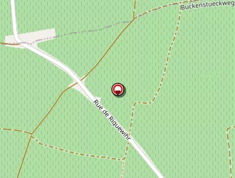 Carte de Kempf Fabien à Mittelwihr