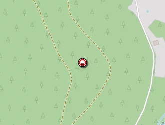 Carte de 'circuit Pédestre ''le Sapin De La Vierge''' à Plainfaing