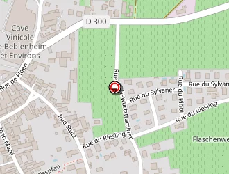 Carte de Alexpress à Beblenheim