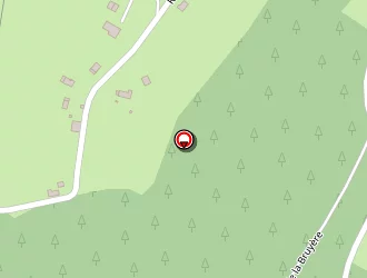 Carte de Dingels Gabrièle à Anould