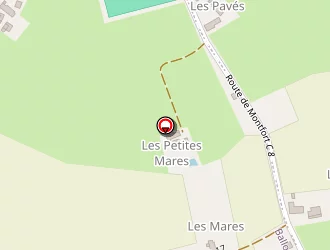 Carte de Breteau Carole à Ballon