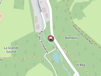 Carte de Parolini Jean-michel à Fréland