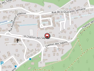 Carte de Perrin Angélique à Épinal