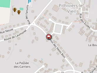 Carte de Ecole Primaire Mixte à Pithiviers-le-vieil