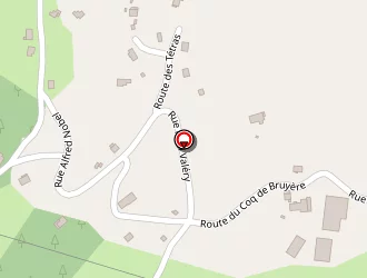 Carte de De Boinroche (gaec) à Anould