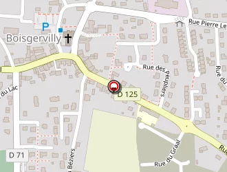 Carte de Sourdaine Régine à Boisgervilly